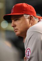 Mike Scioscia looks on from the dugout.jpg