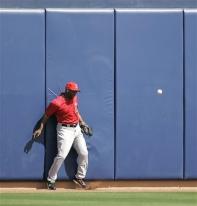 Torii Hunter hits the wall.jpg